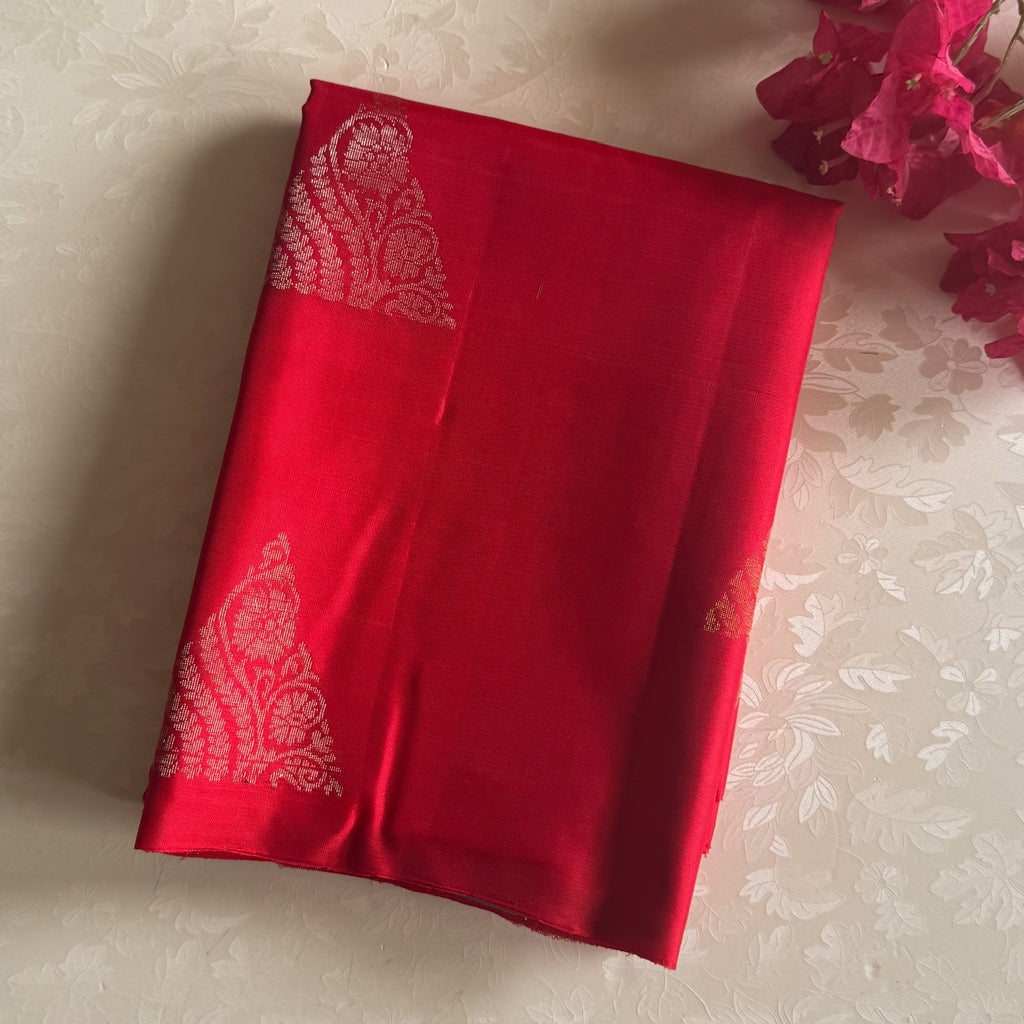 Seafoam Green Silk Saree Scarlet Zari Border Woven Paisley Triangle