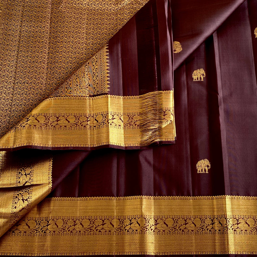 Dark Coffee Kanjeevaram Pure Zari Silk Saree With Antique Gold Border