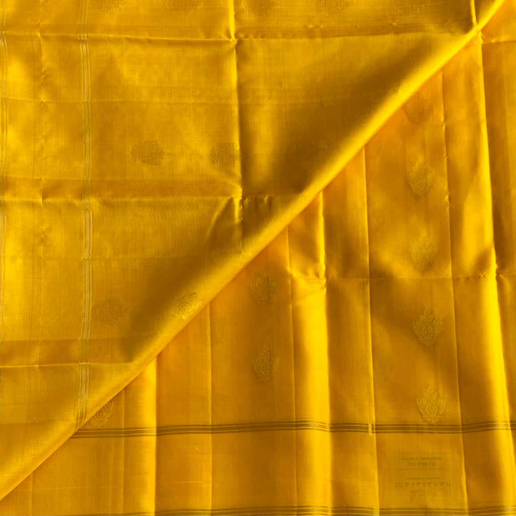 Golden Yellow Designer Pure Silk Saree With Deep Maroon Paisley Pallu
