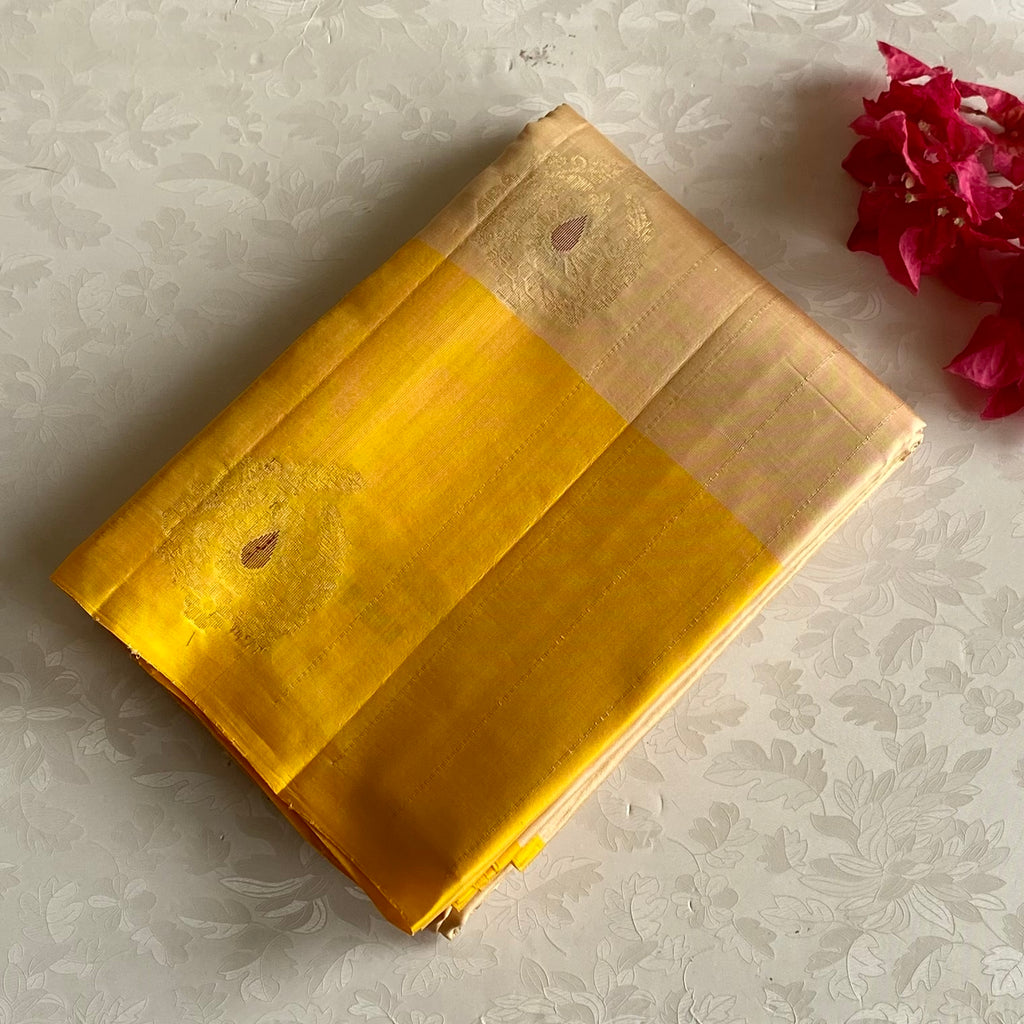 Champagne Beige Designer Pure Silk With Golden Yellow Contrast