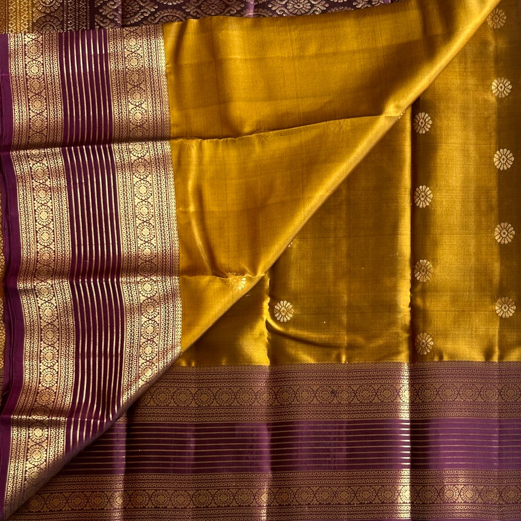 Deep Honey Mustard with rich purple designer pure Kanchi Silk