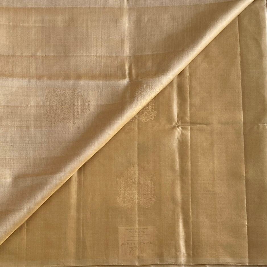 Champagne Beige Designer Pure Silk  With Mustard Yellow Pallu