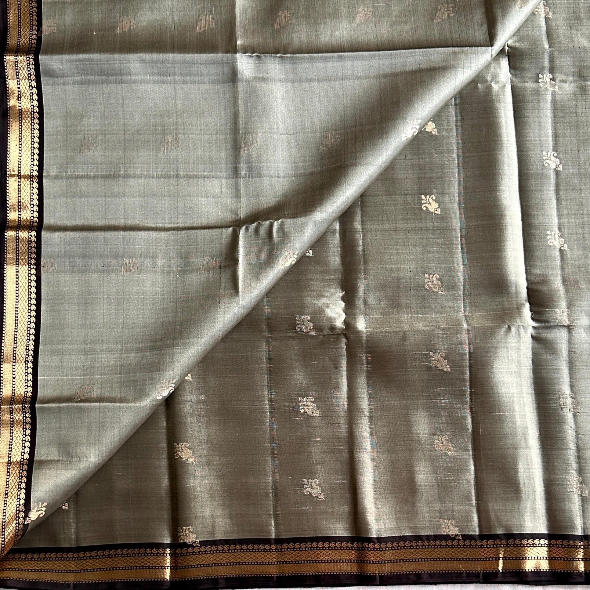 Sage greenish grey  Silk Saree Dark Brown Pallu antique Zari Border