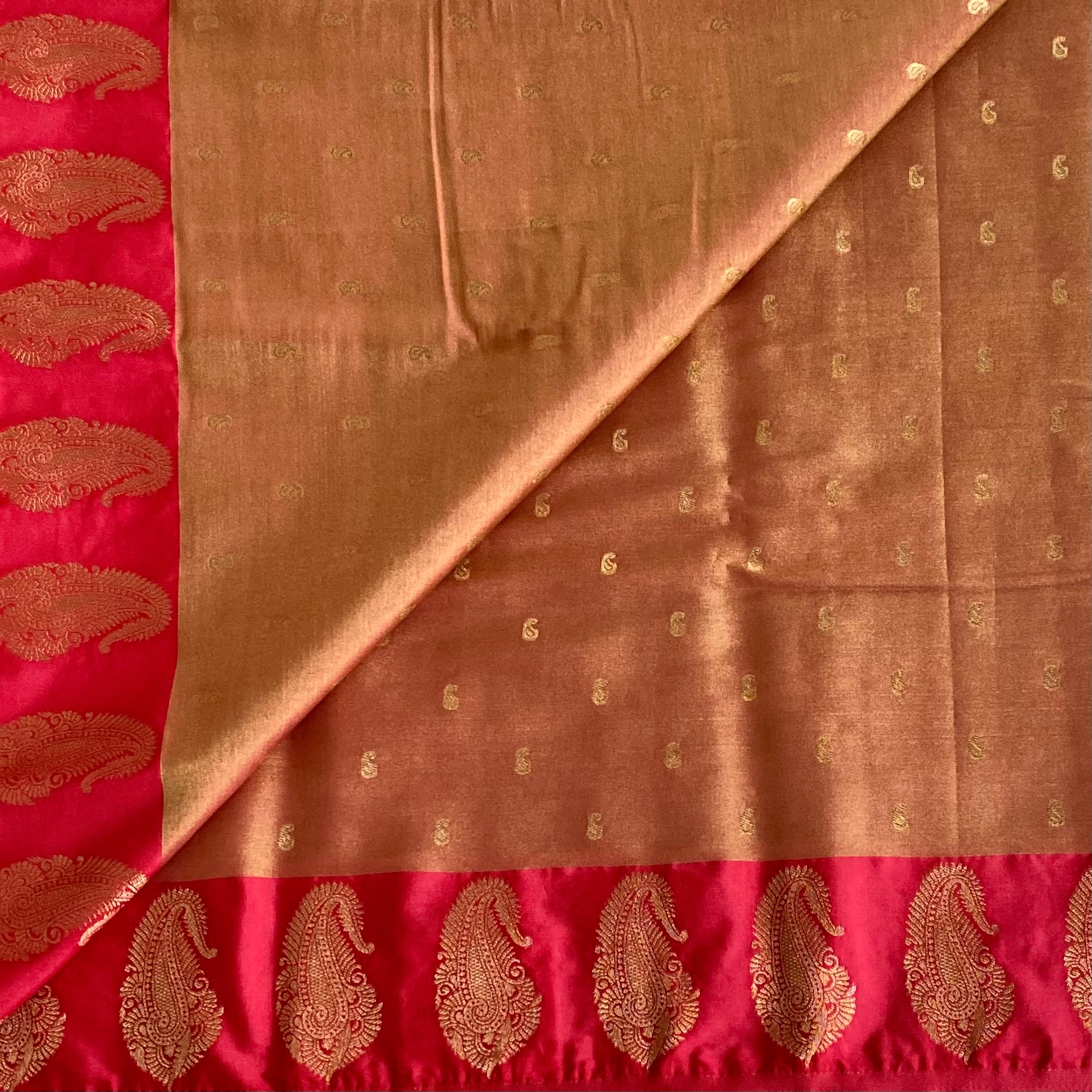 Burnt Orange Silk Saree with Gold Brocade Crimson Paisley Border