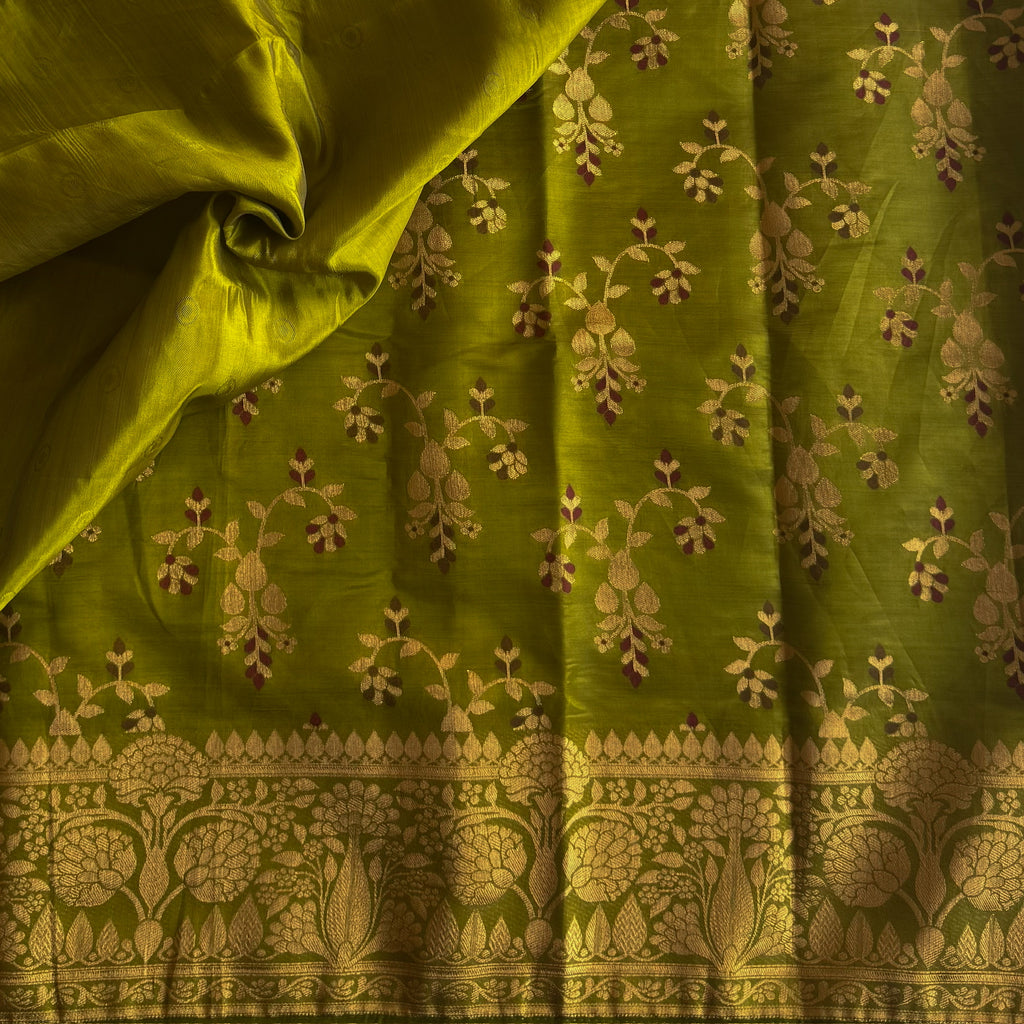 Chartreuse Green Banarasi Silk Saree Metallic Gold Brocade Pallu Border