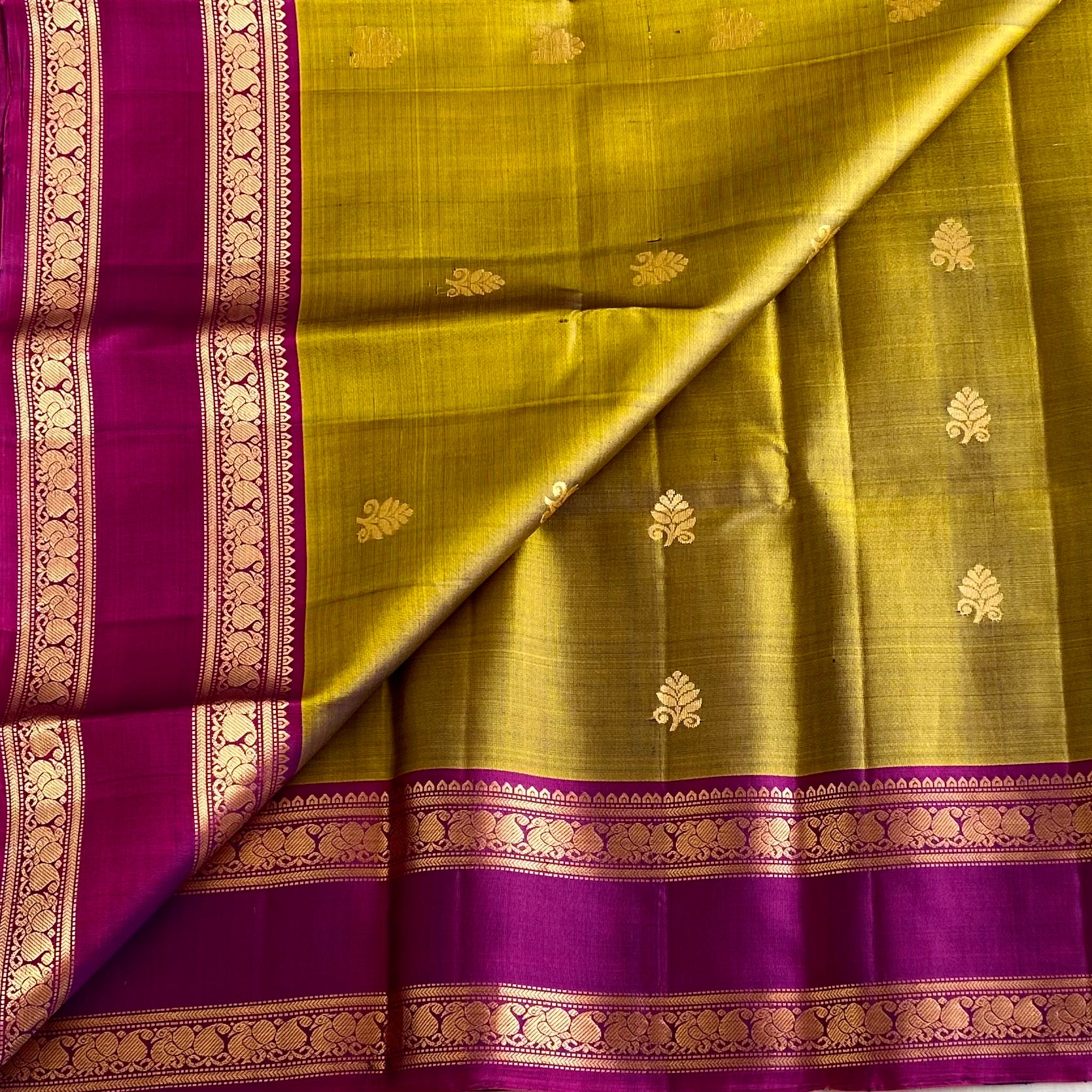Magical Olive Mustard With Magenta Retta Petta Borders